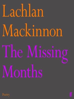 cover image of The Missing Months